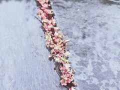 -南京市江宁方山