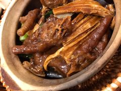 猪蹄焖凤爪-熠盛粤味·顺德桑拿鸡(永康路店)