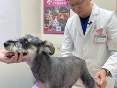 -全心全意动物诊疗中心医院(北苑店)