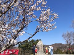 -香山公园