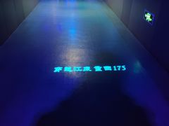 -白鹤梁水下博物馆