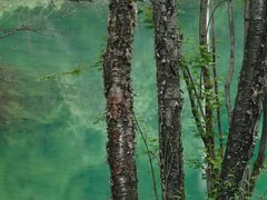 -叠溪松坪沟景区