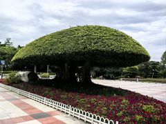 -南宁南湖公园