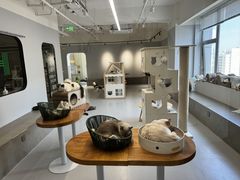-Cappucimeow猫咪咖啡馆(韦伯时代店)