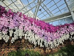 -石家庄市植物园