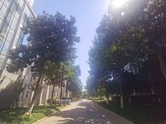 -安徽大学(磬苑校区)