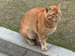 -南门涮肉(上海一店)