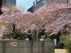 -杭州文化广播电视集团