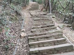 -杭州半山国家森林公园