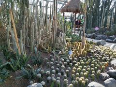 -南山植物园
