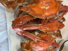 -渔民船说·北塘海鲜·天津菜·海肠捞饭(北塘古镇店)