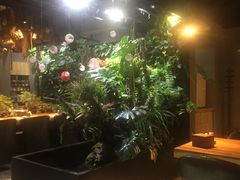 -森味薪火烧•烧鸟居酒屋•日本料理(望京店)