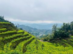 -婺源风景区