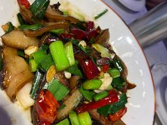 -新概念来凤鱼(璧山店)