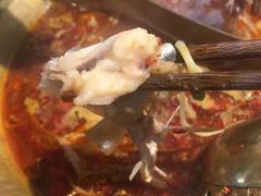 -土著渔匠·养生蝴蝶鱼(香樟路店)