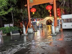 -侨美·唐荔园·40年地道粤菜