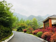 -无锡太悦度假酒店·悦餐厅