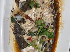 -永红源啤酒·烧烤·海鲜·大排档(青特城店)