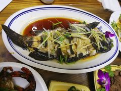 油泼黑头鱼-天伦海鲜·老味道·青岛菜(栈桥天主教堂店)