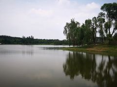 -东郊湿地公园
