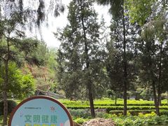 -黄村公园