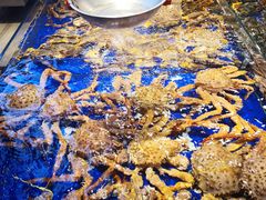 -船歌·鱼水饺青岛菜(闽江二路店)
