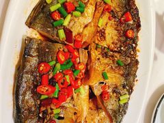 -刘胖子家常菜·蹄花焖藕(兴业店)