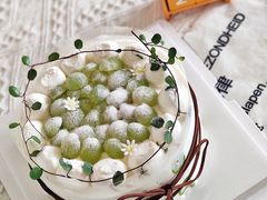 -今日·TODAY手作低脂动物奶油蛋糕定制(高新万达店)