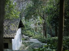 -杭州半山国家森林公园