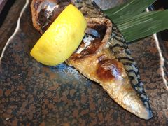 -鲤·鮨KOISUSHI