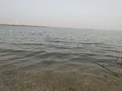 -天津东丽湖风景区