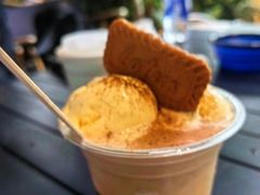 -J Create城市露营咖啡·简餐·宠物(上海动物园店)