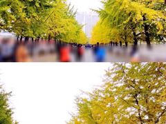 -辽宁大学(崇山校区)