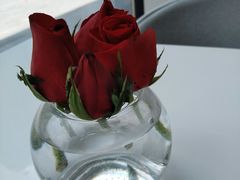 -PETIT PARIS 小巴黎(凯德1818店)