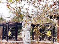 -三里河公园