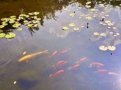 -白马涧龙池景区