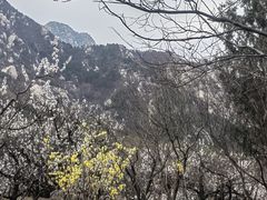-北京凤凰岭