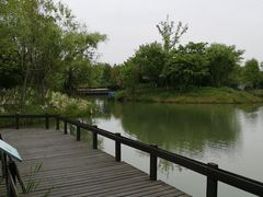 -梁鸿国家湿地公园