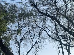 -西安碑林博物馆