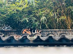 -西园戒幢律寺