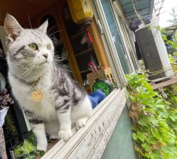 点击看大图 -荔刺青纹身·手穿孔饰品