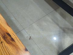 -刘记包子铺(气象台路店)
