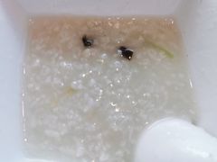皮蛋瘦肉粥-嘉和一品粥(方庄店)