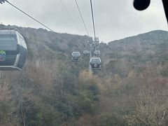 -普陀山慧济禅寺