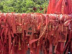 -泰山风景名胜区