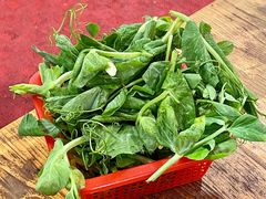 豌豆苗-钰洁腊排骨火锅