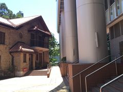 -香港大学