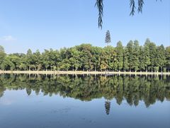 -东湖景区
