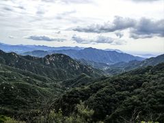 -大岭沟猕猴桃谷风景区