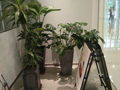 -科学家咖啡(海岸城店)
